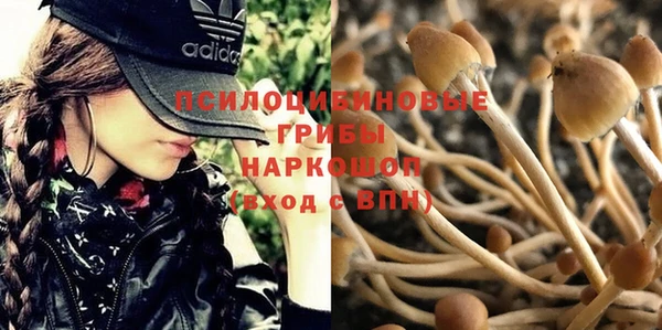 прущие крисы Белоозёрский