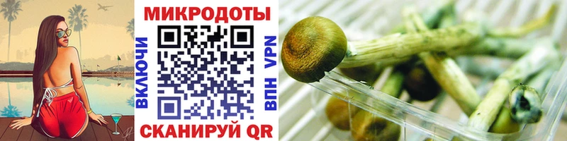 Галлюциногенные грибы мицелий  наркотики  OMG ССЫЛКА  Володарск 